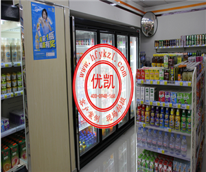 甘肅省嘉峪關(guān)市天誠廣場風(fēng)幕柜案例