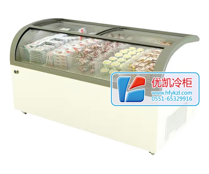 17BQ-B1經(jīng)濟節(jié)能型淇淋展示柜
