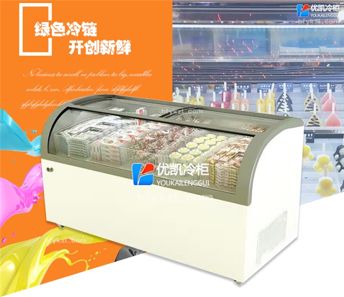 17BQ-B1經(jīng)濟節(jié)能型淇淋展示柜