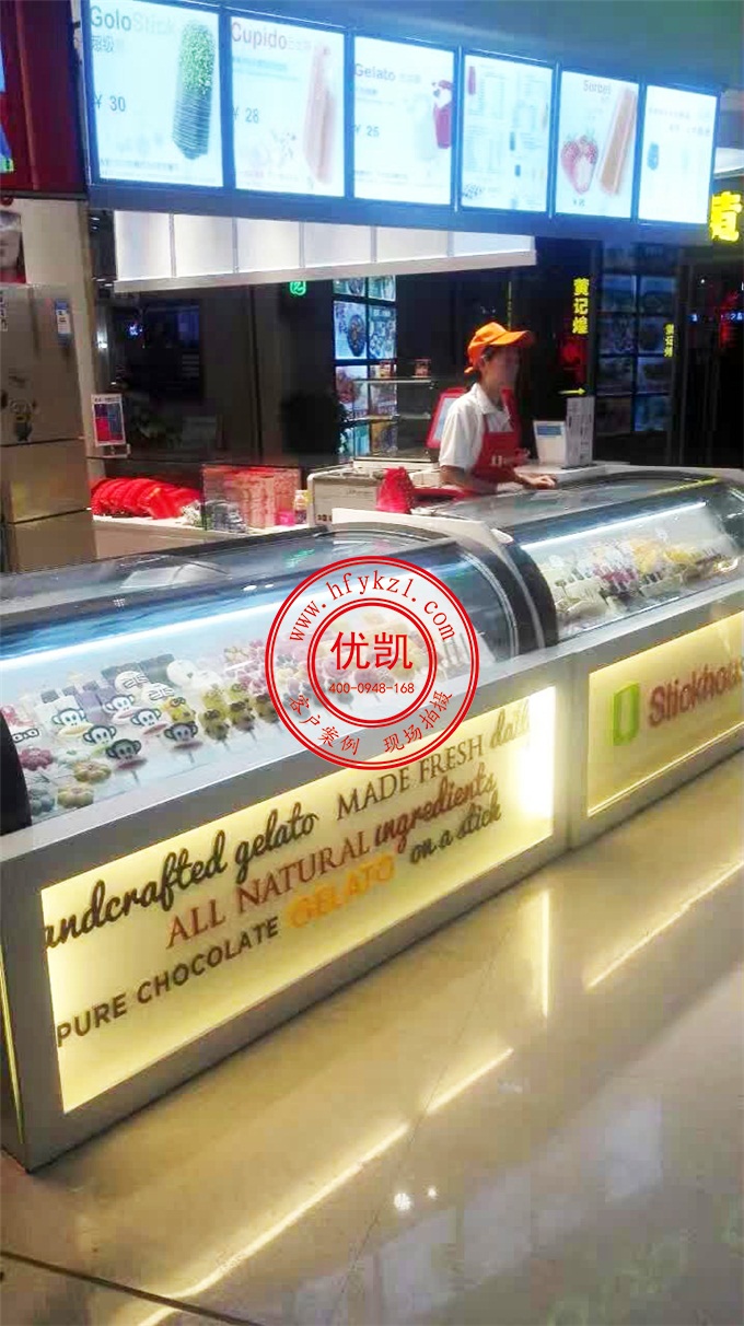 17BQ-B1經(jīng)濟節(jié)能型淇淋展示柜