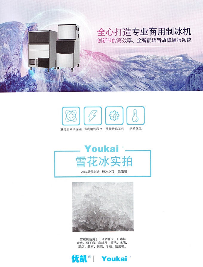 17新款YK-358F雪花制冰機產品細節圖.