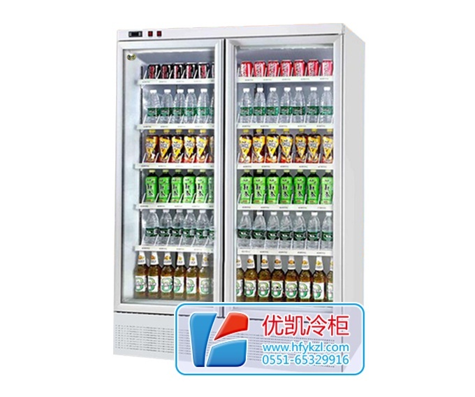 二門整機(jī)風(fēng)冷飲料展示柜（底置壓縮機(jī)）