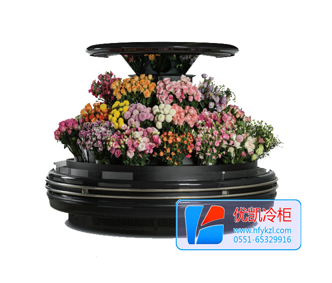 環(huán)島鮮花柜