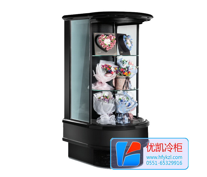 立式鮮花風(fēng)幕柜
